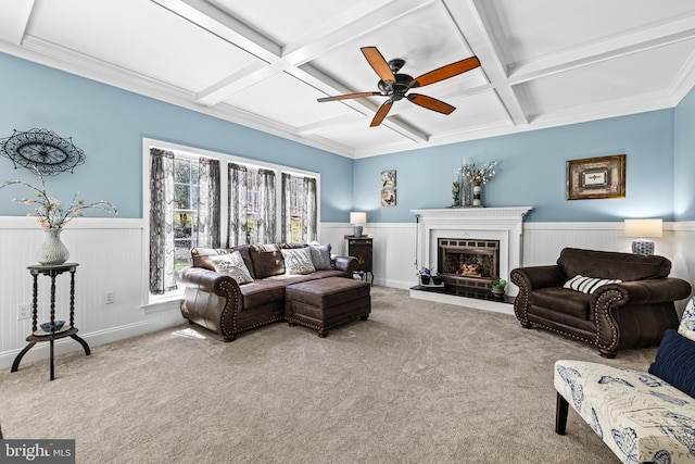 carpeted living area with beamed ceiling, a ceiling fan, a fireplace with raised hearth, a wainscoted wall, and coffered ceiling