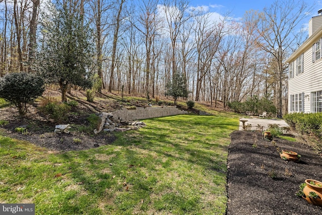 view of yard