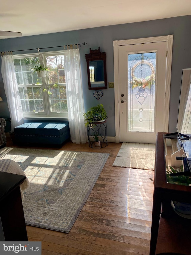 foyer entrance featuring baseboards, wood finished floors, and plenty of natural light