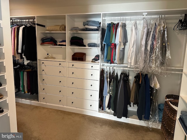 8537 Pine Springs Dr, Severn, MD 21144 - walk in closet with carpet