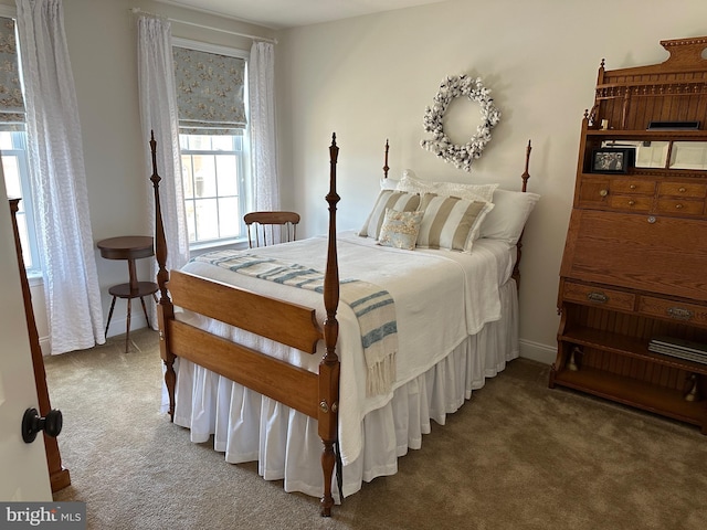 8537 Pine Springs Dr, Severn, MD 21144 - view of carpeted bedroom