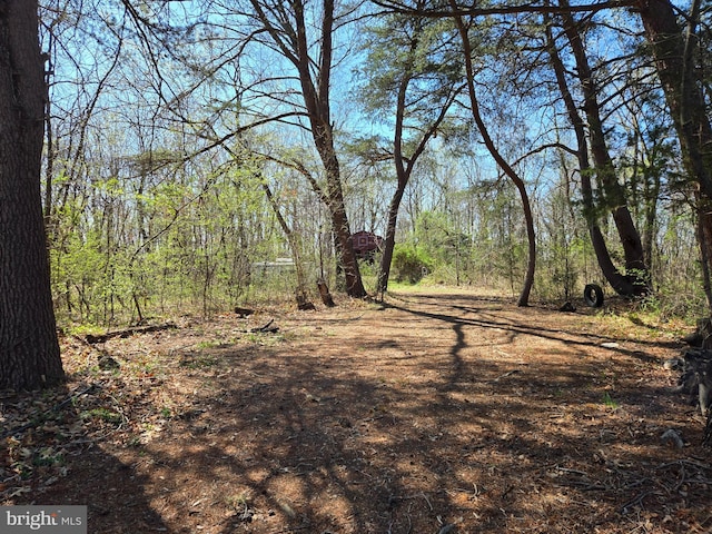 view of landscape with a wooded view