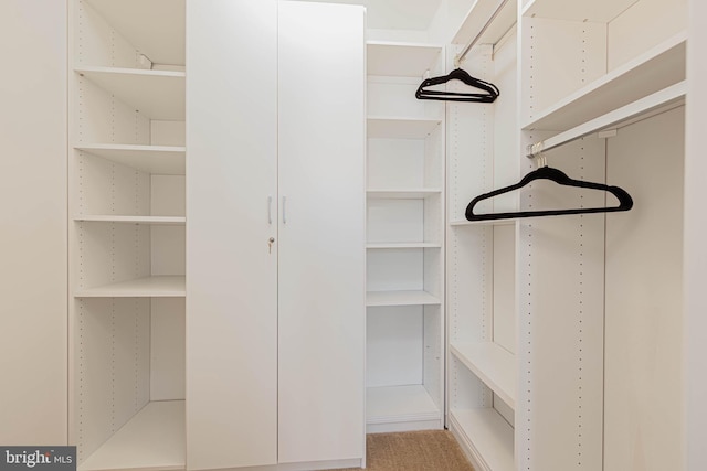 19062 Timbercreek Dr Unit 46, Milton, DE 19968 - view of spacious closet