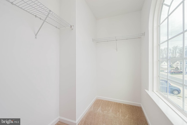 19062 Timbercreek Dr Unit 46, Milton, DE 19968 - spacious closet featuring light carpet