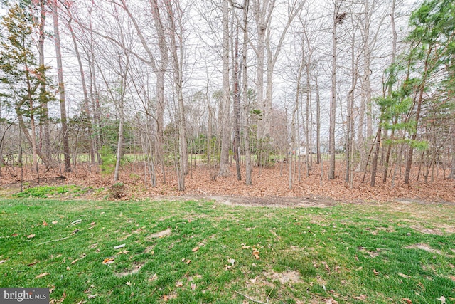 19062 Timbercreek Dr Unit 46, Milton, DE 19968 - view of yard