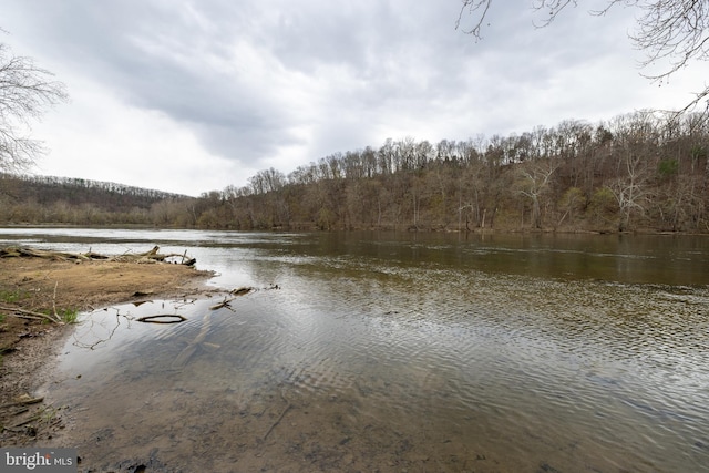 property view of water with a view of trees
