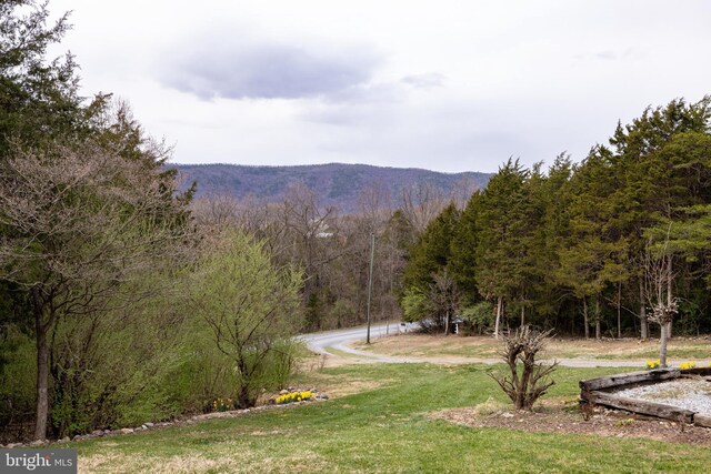 property view of mountains featuring a view of trees