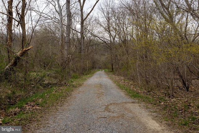 view of road