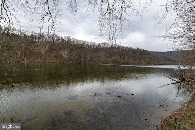 water view with a view of trees