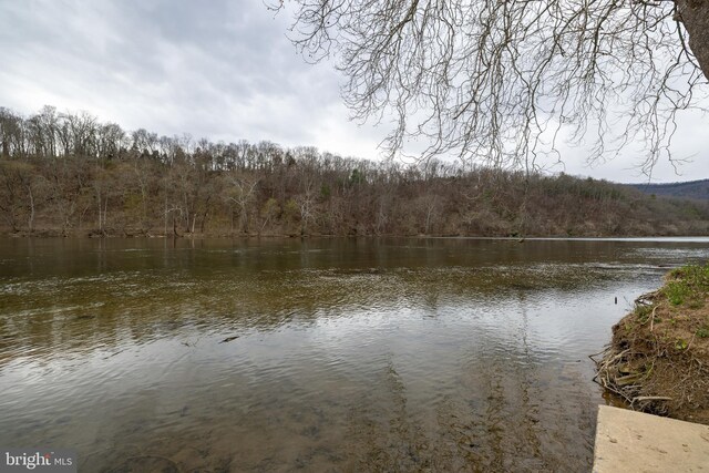 property view of water featuring a view of trees