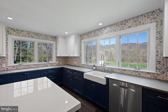 kitchen featuring stainless steel dishwasher, tasteful backsplash, a sink, blue cabinetry, and dark wood-type flooring