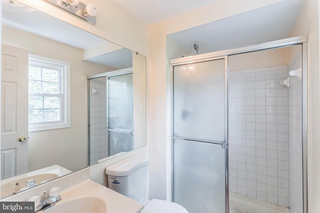 bathroom featuring vanity, a shower stall, and toilet