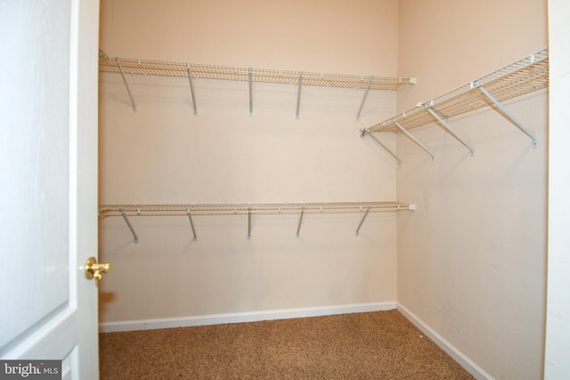 spacious closet with carpet