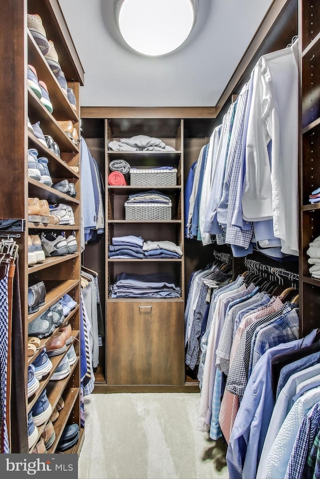 view of walk in closet