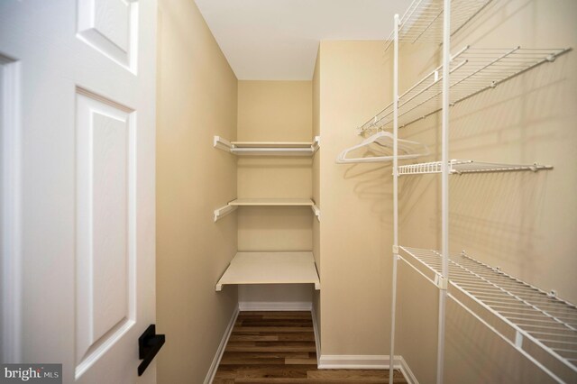55 Hamn, Stafford, VA 22554 - spacious closet featuring wood finished floors