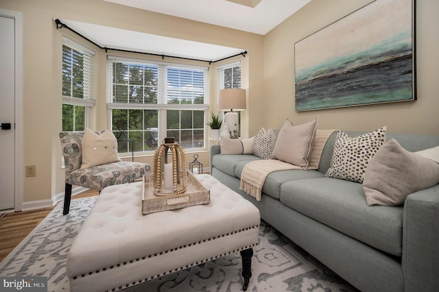 55 Hamn, Stafford, VA 22554 - living room featuring wood finished floors and baseboards