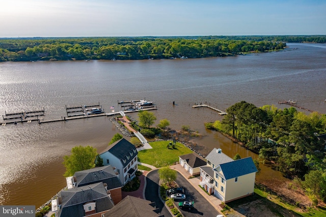 Little Harbor Way Unit 1, Chestertown, MD 21620 - drone / aerial view of a nearby body of water