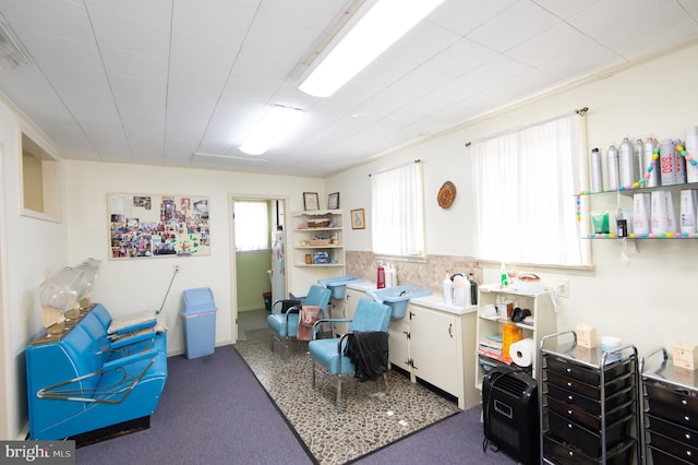 rec room featuring carpet floors and plenty of natural light
