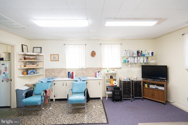 view of carpeted living area