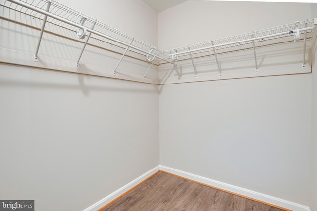 1055 Gardenview Loop Unit 402, Woodbridge, VA 22191 - spacious closet with wood finished floors
