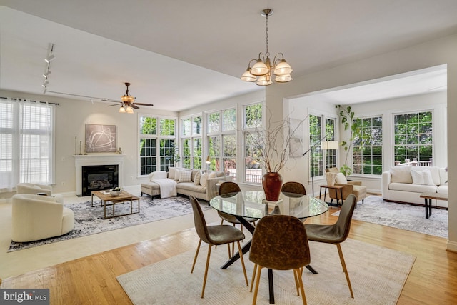 dining room featuring a glass covered fireplace, rail lighting, ceiling fan with notable chandelier, and light wood finished floors