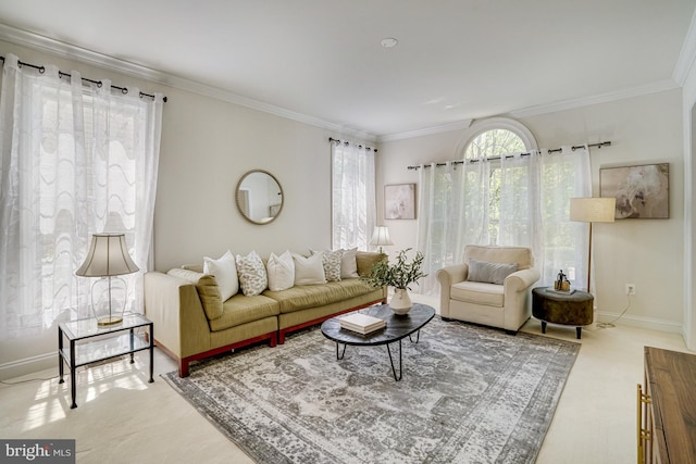 living area with crown molding, baseboards, and carpet floors