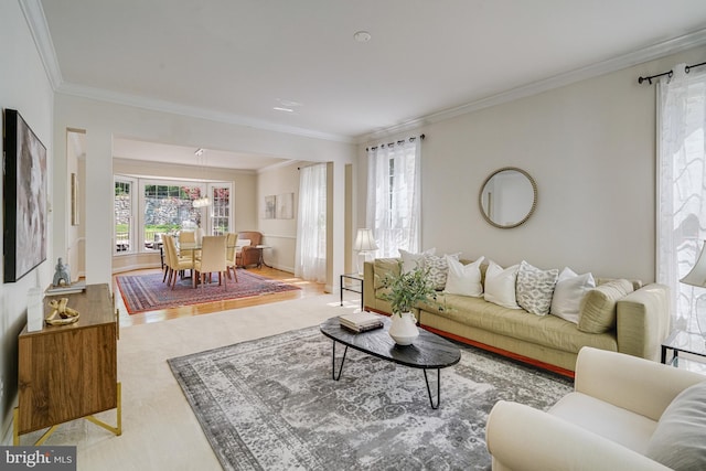 living area with ornamental molding