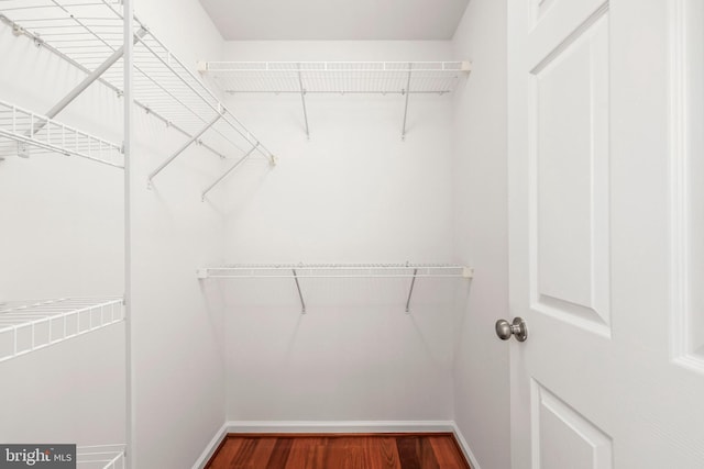 walk in closet with dark wood-type flooring