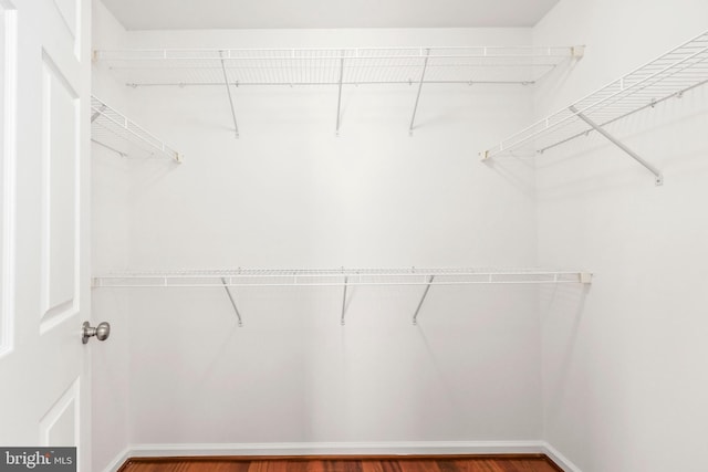 walk in closet featuring wood finished floors