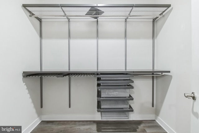 walk in closet featuring wood finished floors