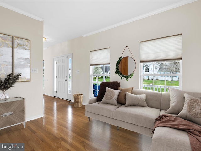 living area featuring baseboards, wood finished floors, and ornamental molding