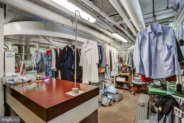 spacious closet featuring carpet