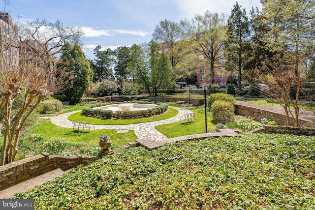 view of home's community featuring a yard