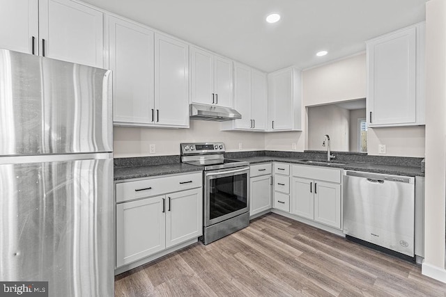kitchen featuring dark countertops, a sink, stainless steel appliances, and under cabinet range hood