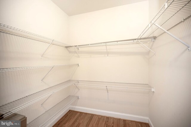 spacious closet with wood finished floors