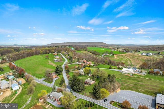 bird's eye view featuring a mountain view