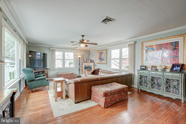 living area featuring visible vents, ornamental molding, ceiling fan, a wealth of natural light, and light wood-style flooring