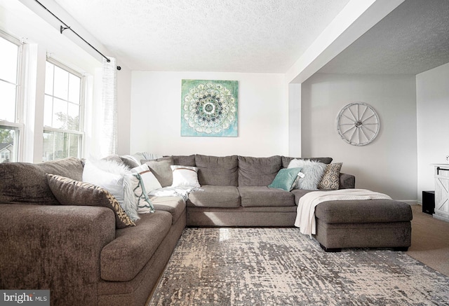 518 Macintosh Cir, Joppa, MD 21085 - living area featuring a textured ceiling and carpet flooring