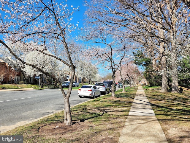 5900 Queenston St Unit 498, Springfield, VA 22152 - view of road with sidewalks, a residential view, and curbs