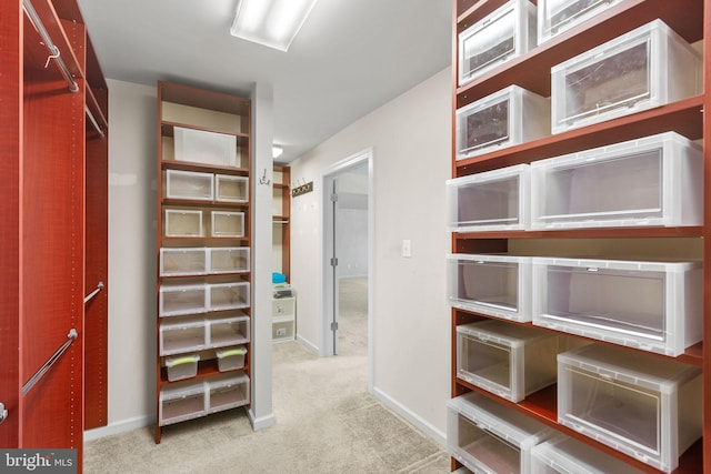 2710 Beech Orchard Ln, Upper Marlboro, MD 20774 - spacious closet with carpet flooring