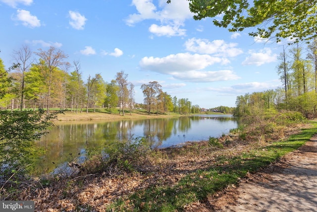 2710 Beech Orchard Ln, Upper Marlboro, MD 20774 - property view of water