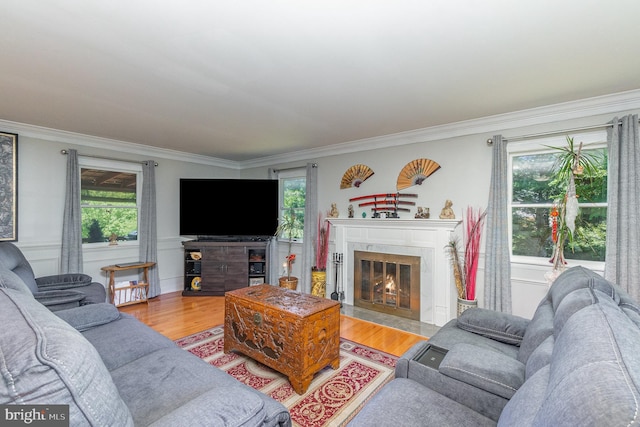 2220 Timothy Dr, Westminster, MD 21157 - living room featuring wood finished floors, a high end fireplace, and crown molding