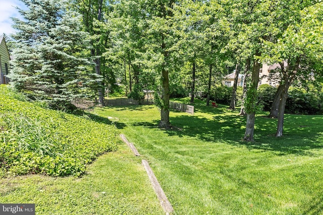76 Deepdale Rd, Wayne, PA 19087 - view of yard