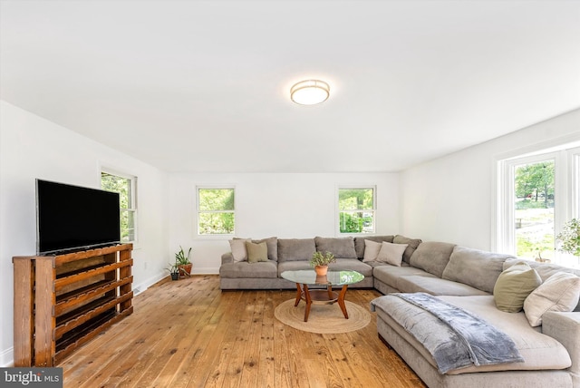 5431 Hines Rd, Frederick, MD 21704 - living room with plenty of natural light, light wood finished floors, and baseboards