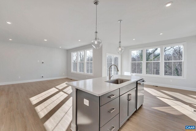 2963 Rambling Brook Ln, Crozet, VA 22932 - kitchen with light wood-style flooring, gray cabinets, dishwasher, a sink, and a center island with sink