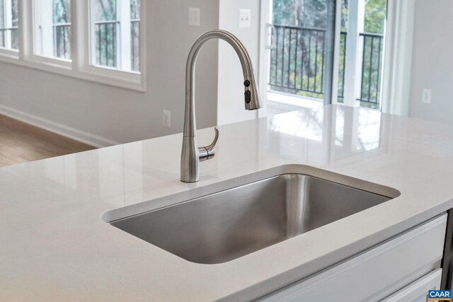 2963 Rambling Brook Ln, Crozet, VA 22932 - room details with light countertops and a sink