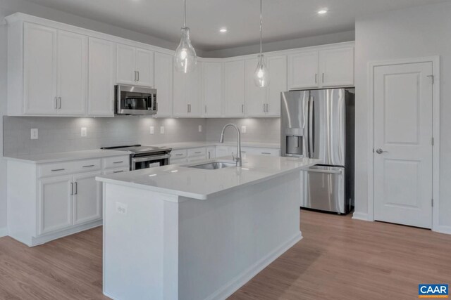 2963 Rambling Brook Ln, Crozet, VA 22932 - kitchen with a kitchen island with sink, light wood-style flooring, a sink, and appliances with stainless steel finishes