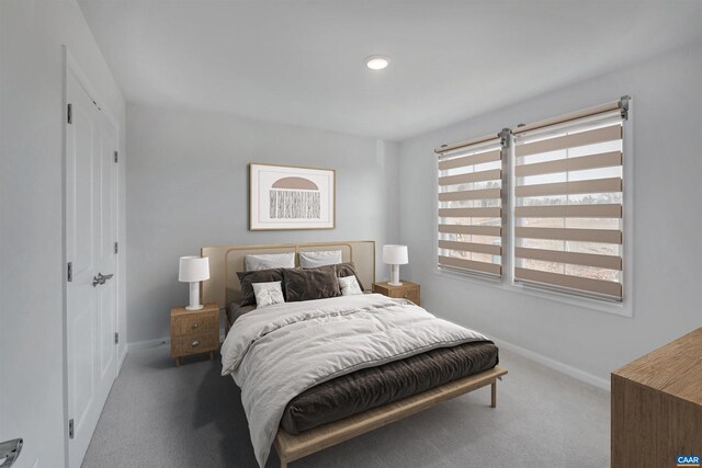 2963 Rambling Brook Ln, Crozet, VA 22932 - bedroom with baseboards and carpet
