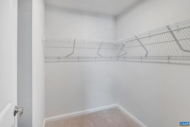 2963 Rambling Brook Ln, Crozet, VA 22932 - spacious closet featuring carpet floors