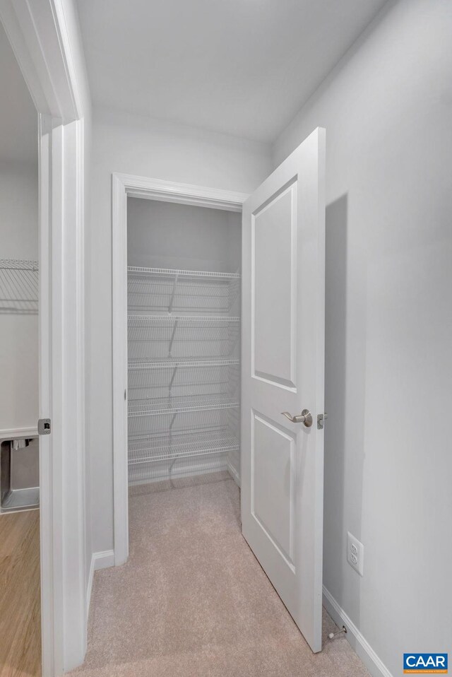 2963 Rambling Brook Ln, Crozet, VA 22932 - view of closet
